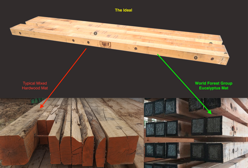 Digital Image Of Eucalyptus Mat Vs Hardwood