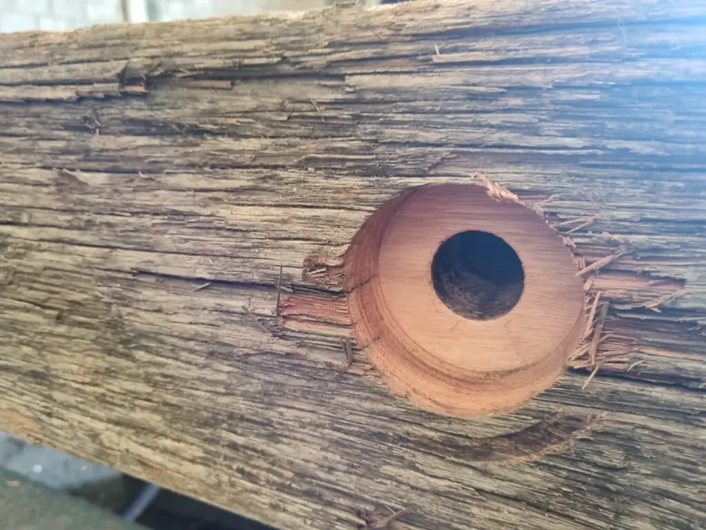 How long do Eucalyptus Mats Last? - Drilling Hole 6.5 Year Old Eucalyptus Mats