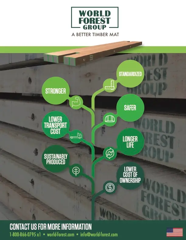 World Forest Group Infographic