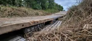 VA Wetland.1