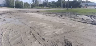 Site of Destroyed Timber Mat
